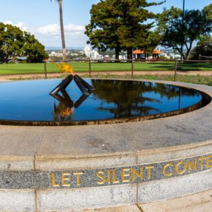 Image-Memorials & Statues & Metal Conservation-352